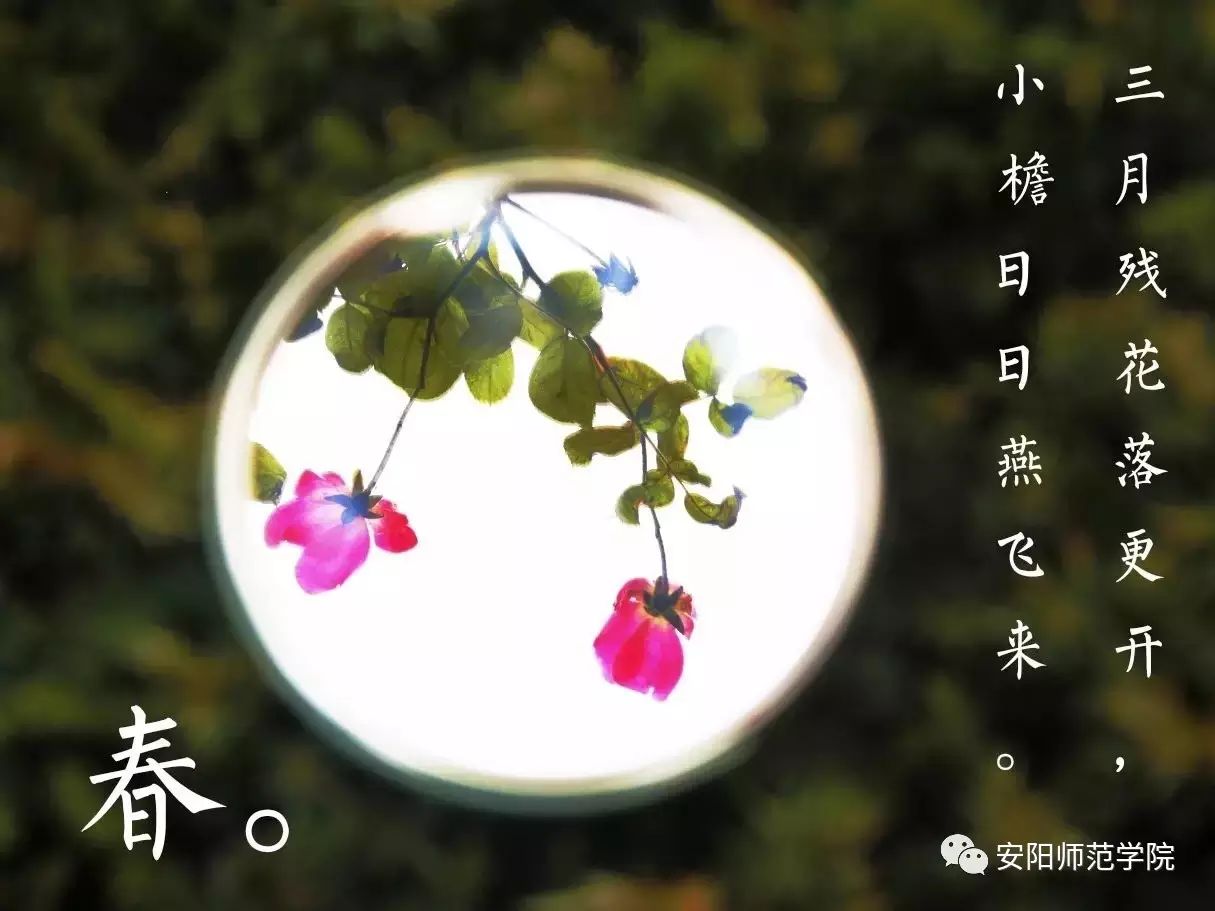 送春 〔宋〕王令 三月残花落更开,小檐日日燕飞来.