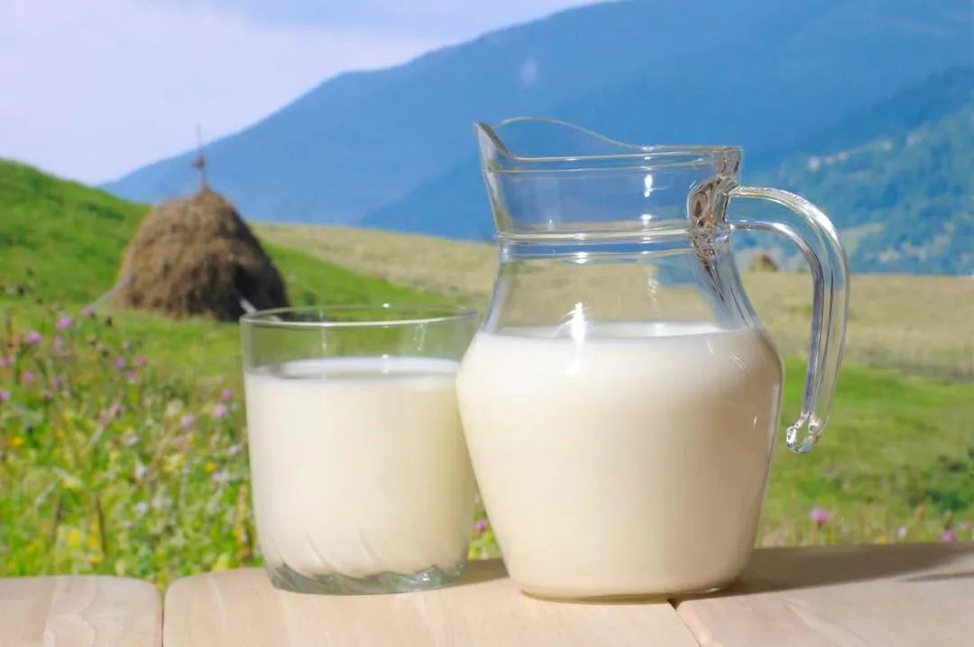 牛奶含胆固醇多吗?胆固醇高的人可以喝牛奶吗?