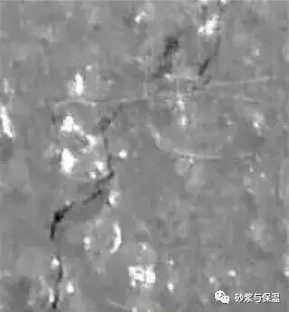 聚丙烯纤维和膨胀剂对水泥砂浆塑性收缩开裂性能的影响