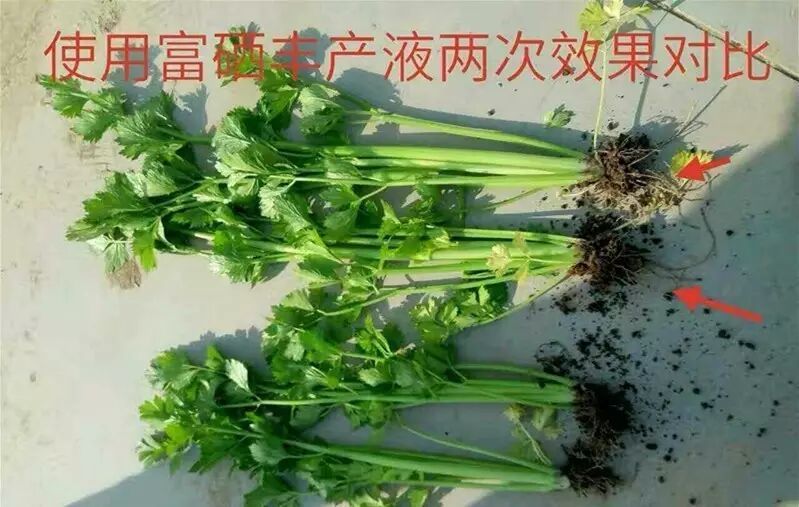 ~7IWYI$]%FZGP7I9S7(WV(A