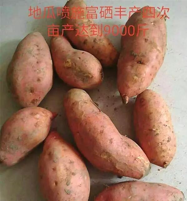 0GA@Z]2I`$BI$@8WK{C3WD9