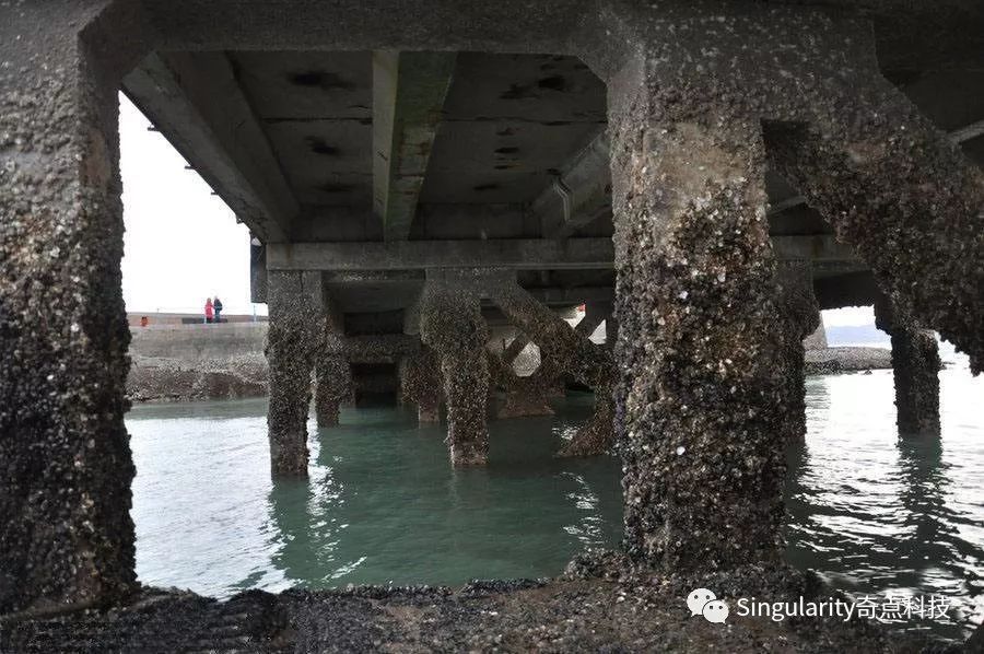 水泥混凝土