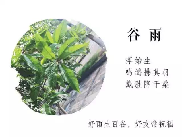 郑板桥《七言诗》