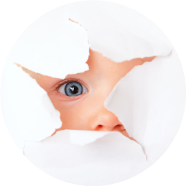 大千世界 自由微信 Freewechat