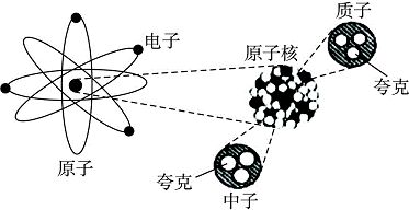 这张示意图中原子核内结构致密,其实并非如此