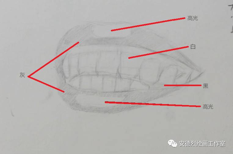 写实素描嘴巴教程 绘制视频分享