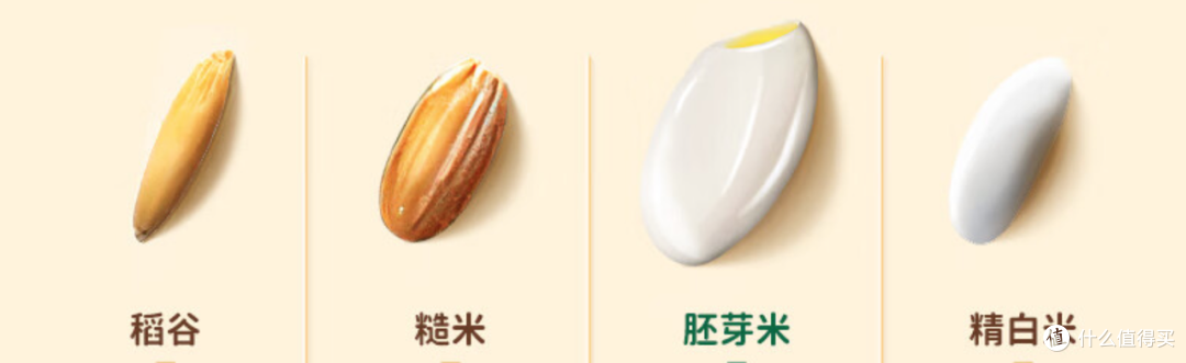 618怎么买？家庭粮油米面茶饮咖啡囤货指南！
