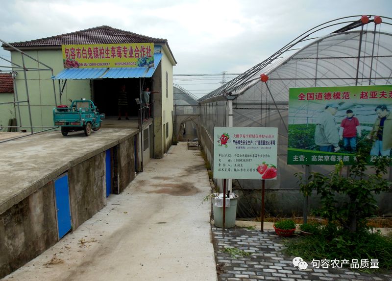 【优品v专业】句容市白兔镇柏生专业草莓合作社重装机兵1救活红狼图片