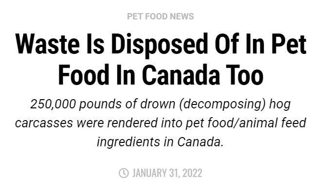 震惊!加拿大的工厂竟用被洪水淹死(腐烂)的牲畜，来做猫狗粮!!