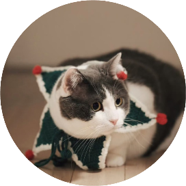 猫猫能量站