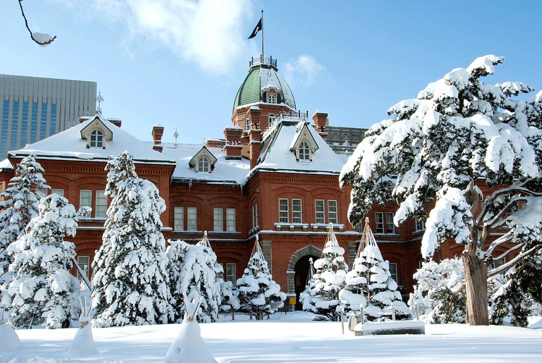 北海道优美的雪景