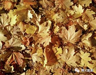 #春风十里不如你# 尚佳逸·韩义春季女神选拔赛，快来参赛赢好礼吧！174 / author:Shangjiayi Han Yiyimei / PostsID:538519