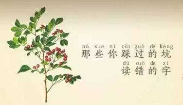 那些年你读错的中药名