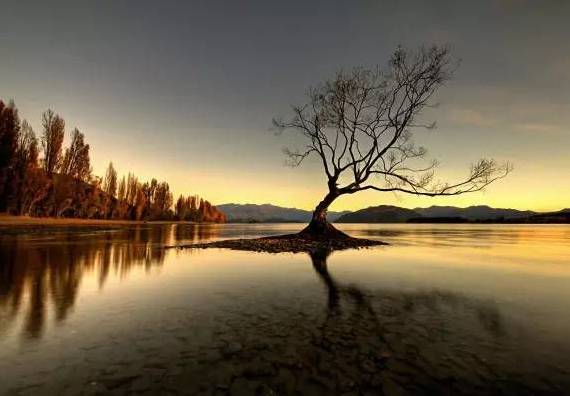 《论语》精华50句，记下来，获益终生！ 