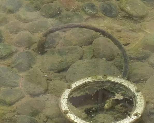 十岁女孩小区池塘里玩耍尖叫后猝死 水里有什么?