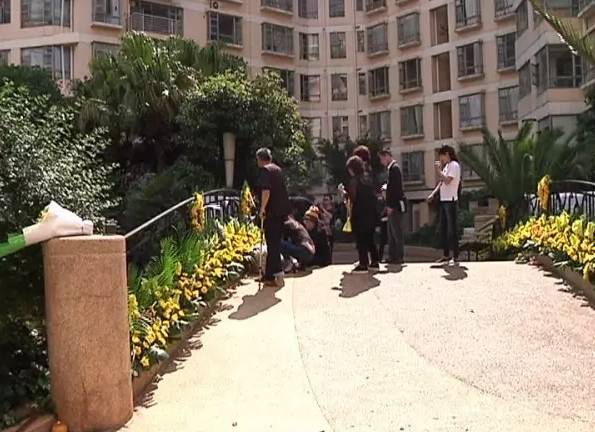 十岁女孩小区池塘里玩耍尖叫后猝死 水里有什么?