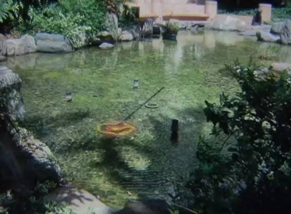 十岁女孩小区池塘里玩耍尖叫后猝死 水里有什么?