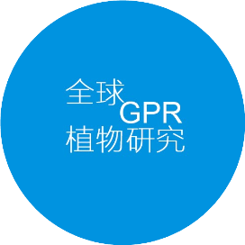 全球植物研究