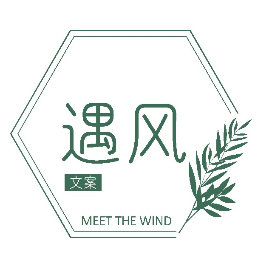 遇风文案