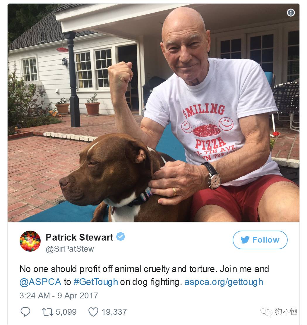 对斗狗说不 从 X战警 做起 自由微信 Freewechat