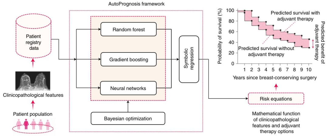 图1：AutoPrognosis框架示意图。在给定患者数据的情况下，AutoPrognosis使用贝叶斯优化算法来搜索ML模型集合的最佳参数以及分配给集合中每个模型的最佳权重。(在这里，我们将随机森林、梯度提升和神经网络模型描述为集合的示例元素。)在对总体模型进行拟合后，使用符号回归算法将拟合的模型转换为将患者变量映射到预测风险的数学方程。最终的结果是一个数学方程式，它计算出单个患者在接受和不接受给定治疗的情况下的生存曲线。