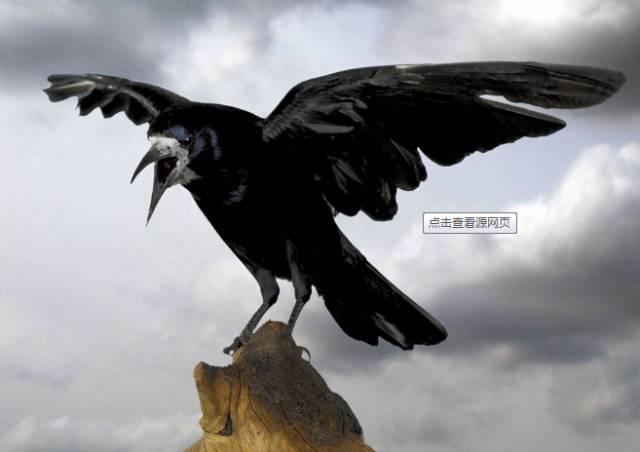 http://7xo6kd.com1.z0.glb.clouddn.com/upload-ueditor-image-20161130-1480485082139076287.png