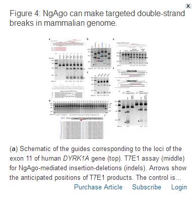 ▲韩春雨撤稿声明中提到的图4 图据《自然-生物手艺》网站