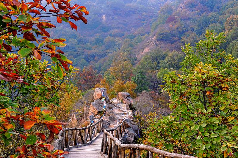 图片来源:凤凰岭景区 凤凰岭周边集历史古迹,生态森林,自然山水景观