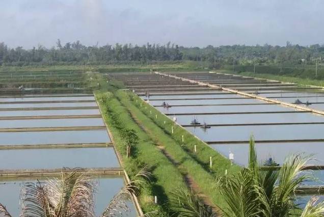 【半农学院】玛雅农场教你如何将一个休闲农庄形成一个良性循环的农业生态系统