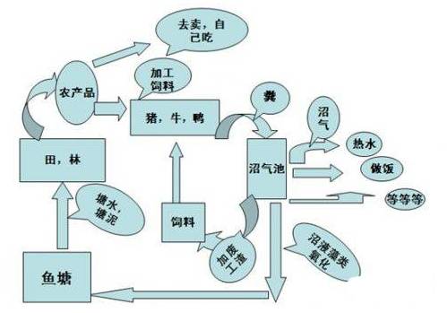 玛雅农场教你如何将一个休闲农庄形成一个良性循环的农业生态系统