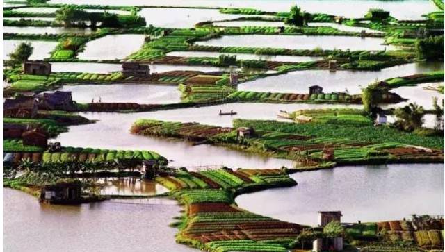 【半农学院】玛雅农场教你如何将一个休闲农庄形成一个良性循环的农业生态系统 【半农学院】玛雅农场教你如何将一个休闲农庄形成一个良性循环的农业生态系统