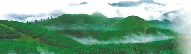 【半农学院】玛雅农场教你如何将一个休闲农庄形成一个良性循环的农业生态系统