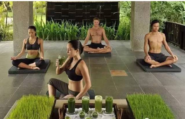 【半农学院】玛雅农场教你如何将一个休闲农庄形成一个良性循环的农业生态系统