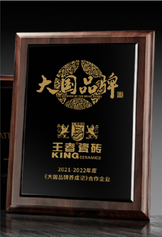 瓷砖选择千万种，只要王者陶瓷这一种！_2