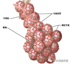 epap什么模式无创呼吸机（二）_https://www.jmylbn.com_新闻资讯_第80张