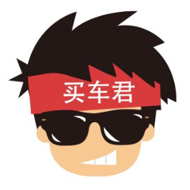 买车君