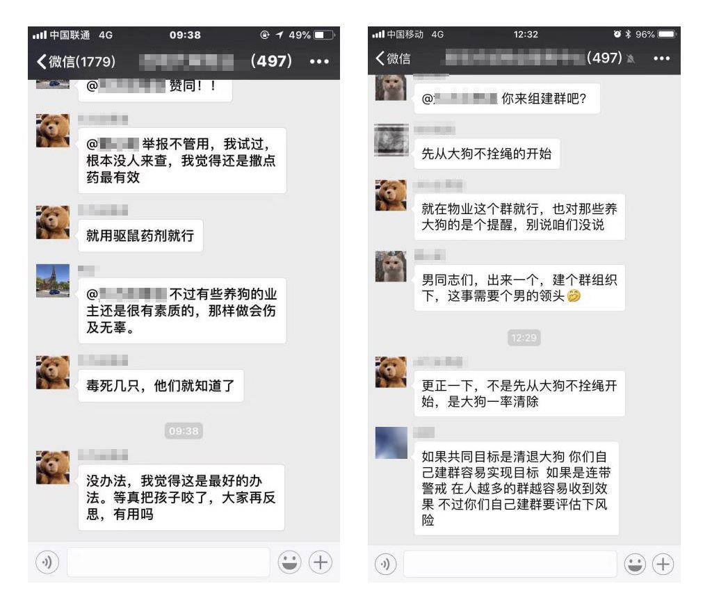 给狗下药文明养狗笑skr人了内附狗狗中毒应急攻略