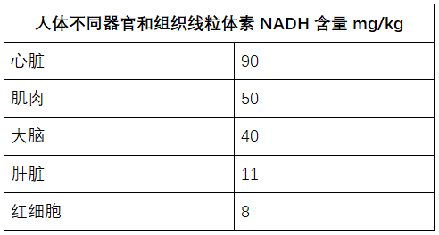 什么是线粒体素NADH？