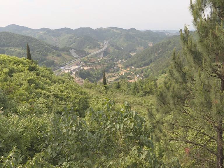 美丽乡村郧阳行——青山镇周家河村