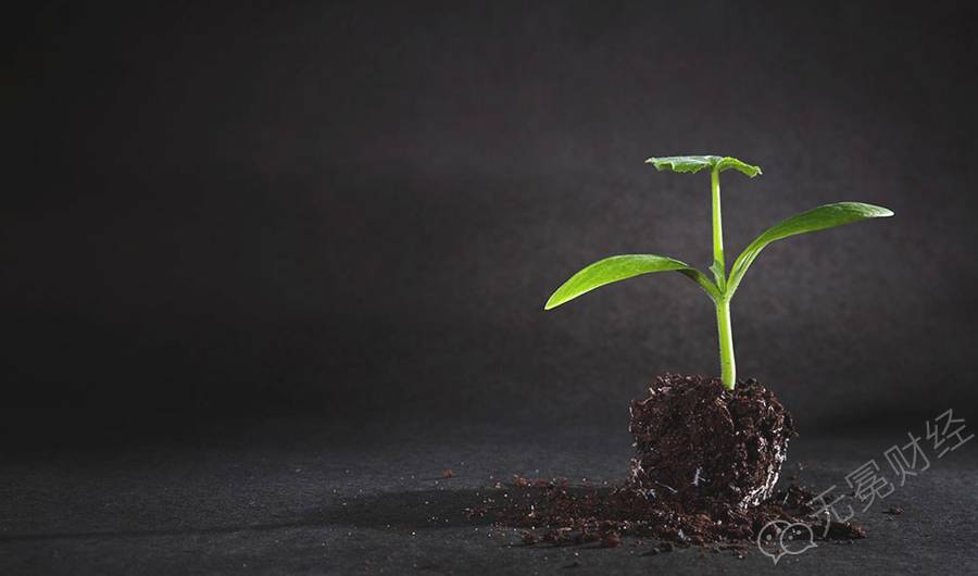 公司愿景的句子_愿景句子经典公司怎么写_公司愿景经典句子