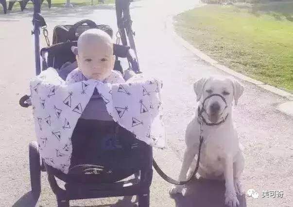 山东美可奇生物技术有限公司