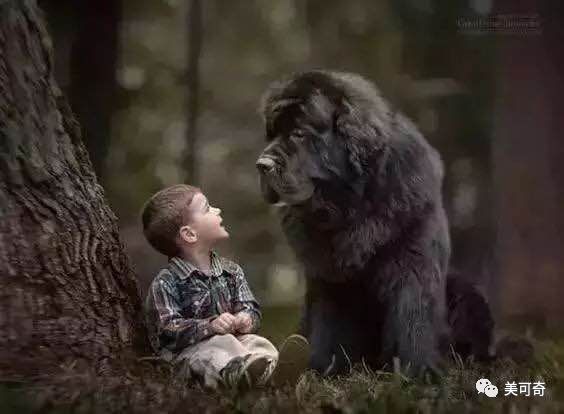 山东美可奇生物技术有限公司