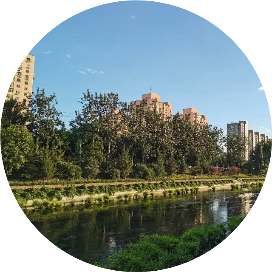 青浦月明