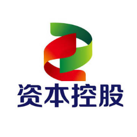 国家电投资本控股