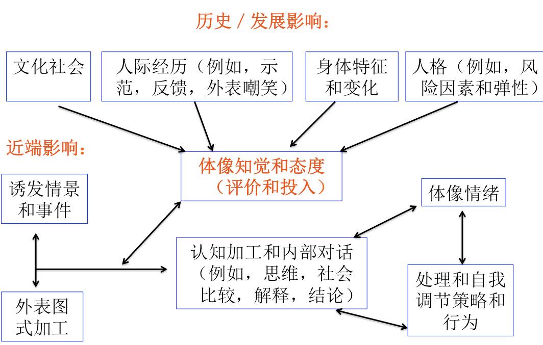 一张图看懂体像|认知行为模型