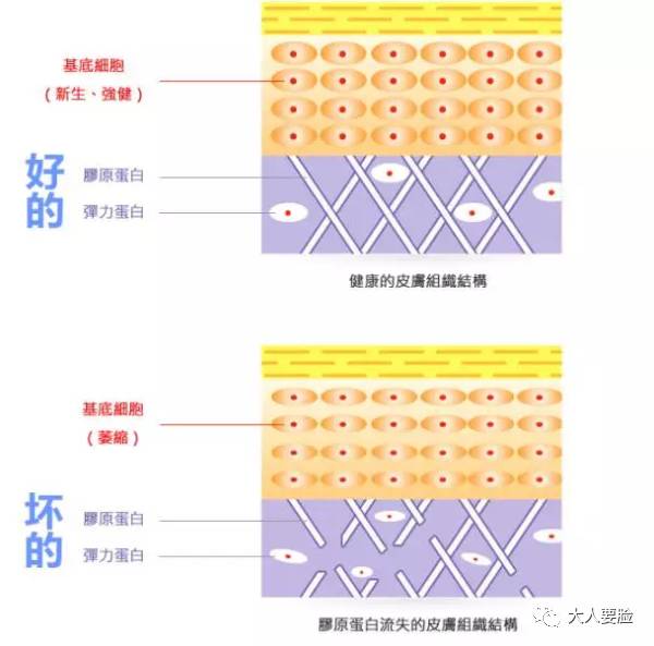 蒋欣暴瘦30斤,不知道会不会长肥胖纹?