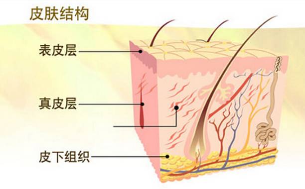 郭碧婷,张钧甯的独特护肤方式证明,这些女星的脑子中过毒!