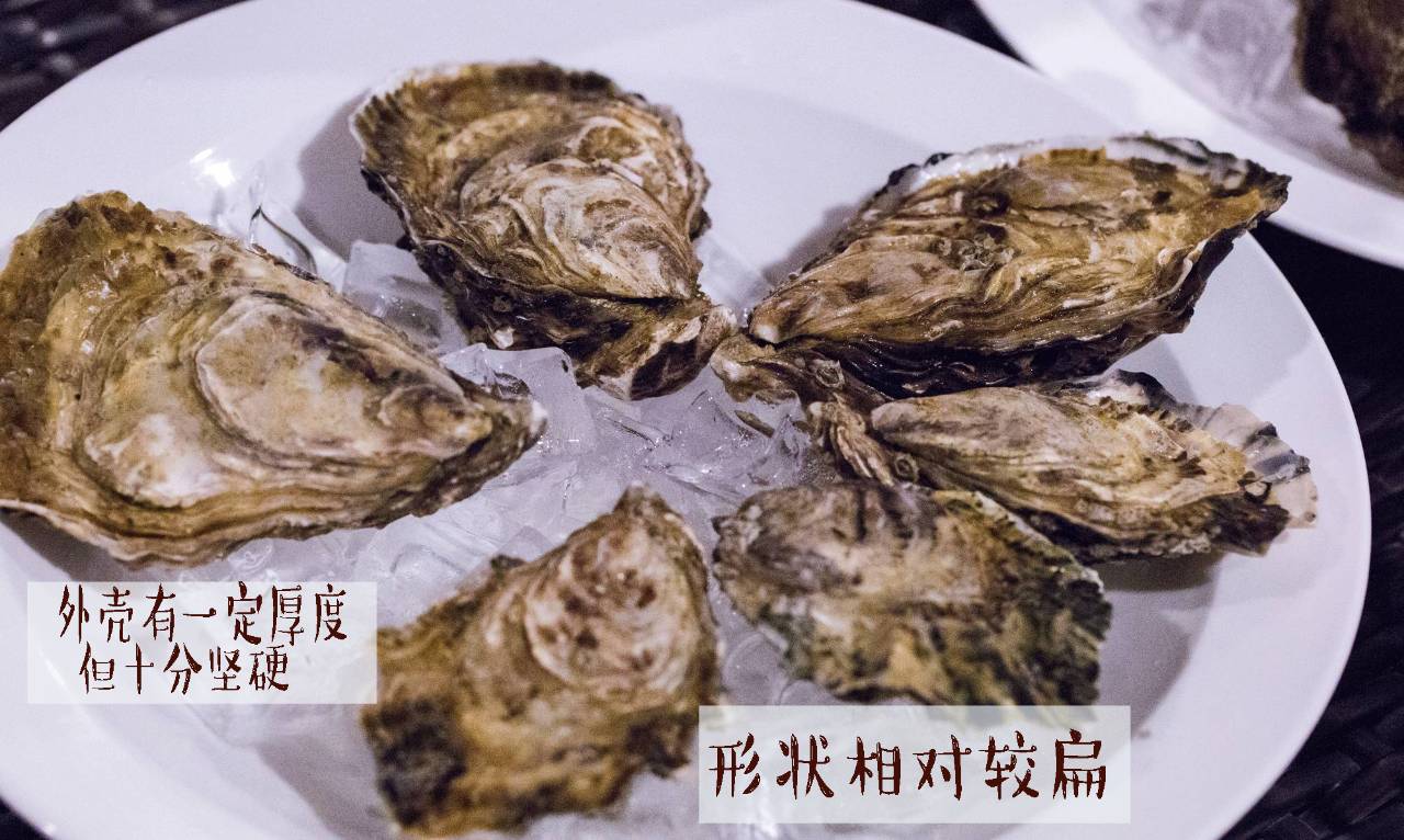 1,2,3号a级野生生蚝外壳