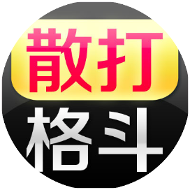 散打