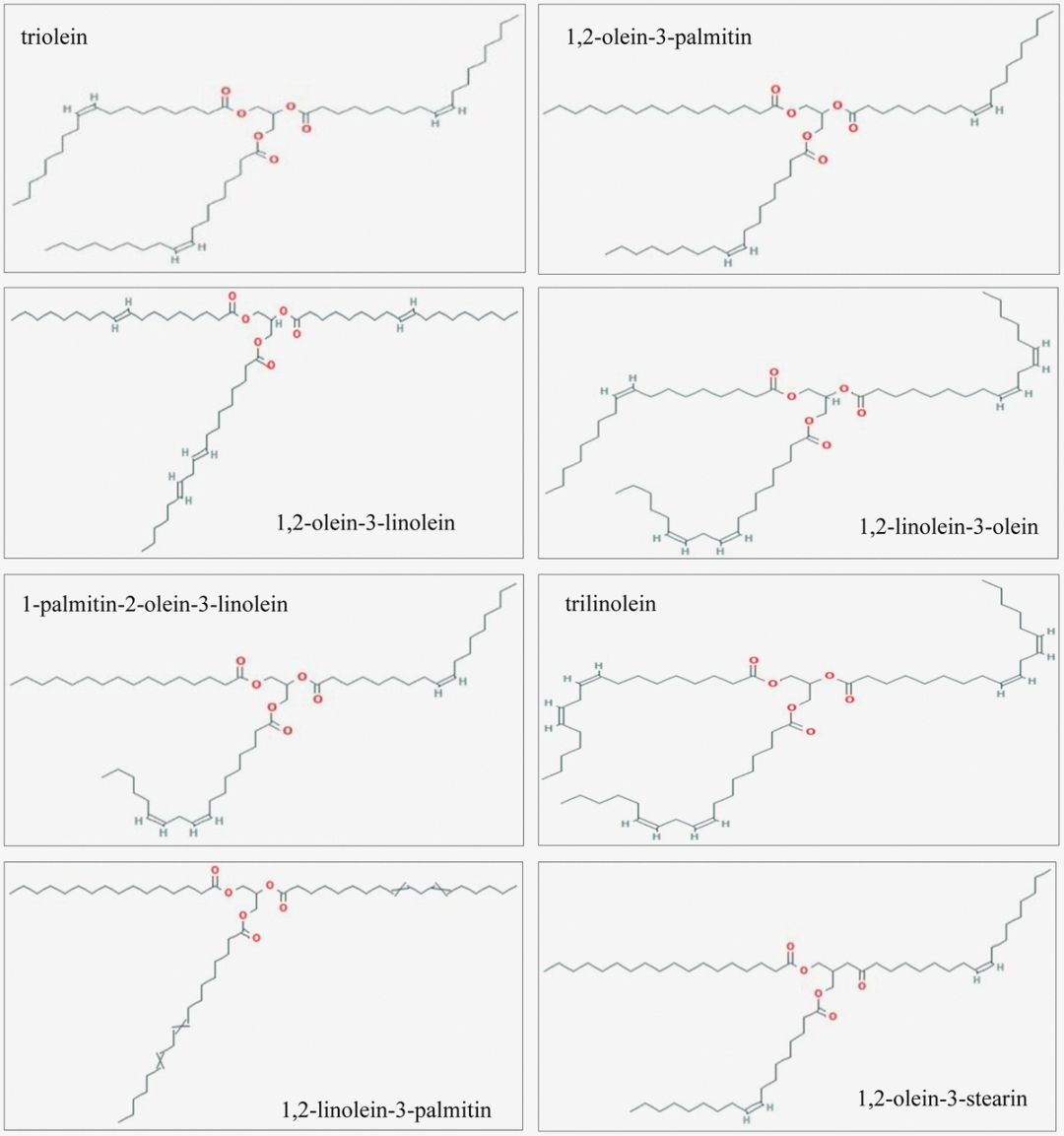 重磅新发现 | 亿万先生MR灵芝孢子油顺利获得TRPV1和SMADs信号通路加速皮肤修复